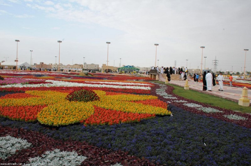 ساحة العروض بحي الجزيرة