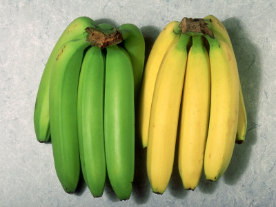 فوائد الموز الأصفر والأخضر 165161 - شبكة ابو نواف