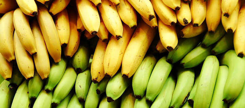فوائد الموز الأصفر والأخضر 