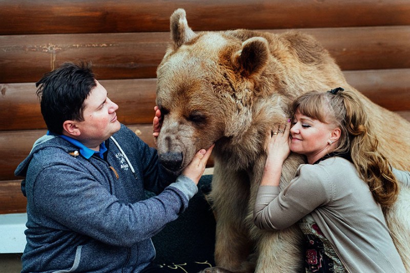 الدب الروسي ستيبان 