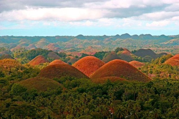  تلال الشوكولاتة  Chocolate-Hills