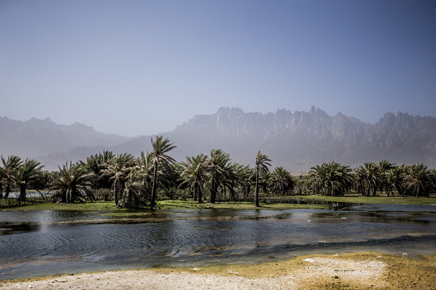 سقطرى