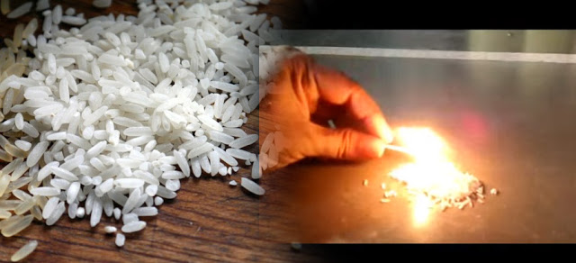 الأرز البلاستيكي 