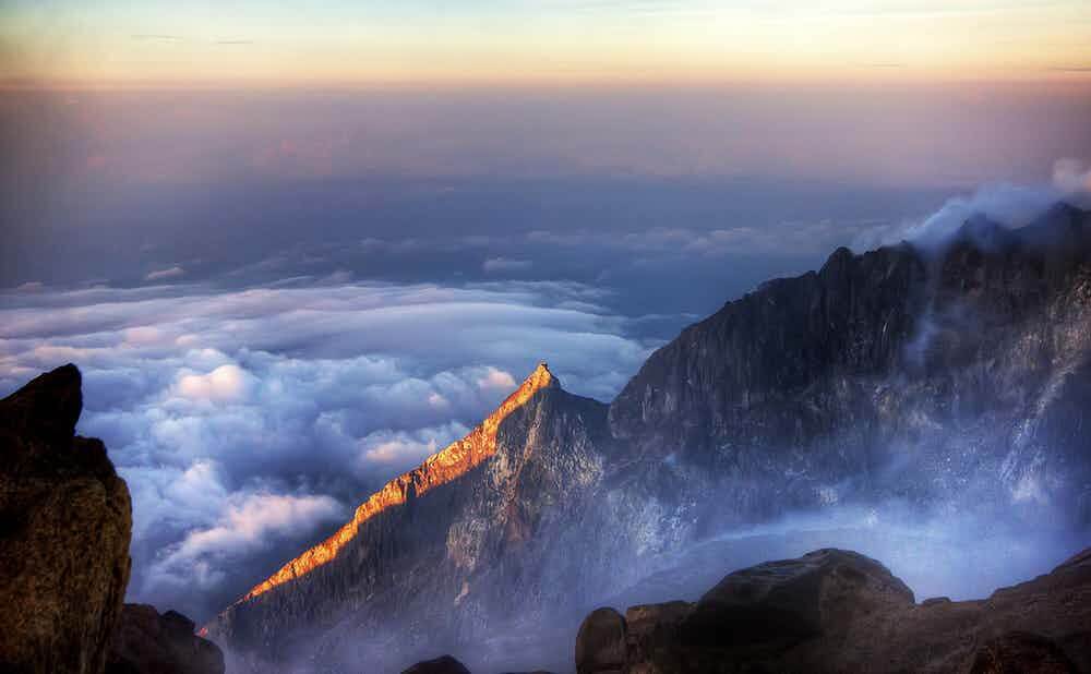 نقره لتكبير أو تصغير الصورة ونقرتين لعرض الصورة في صفحة مستقلة بحجمها الطبيعي