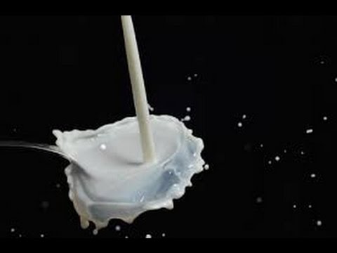 الأمثال الشعبيه Milk-split