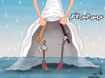 عروس البحر