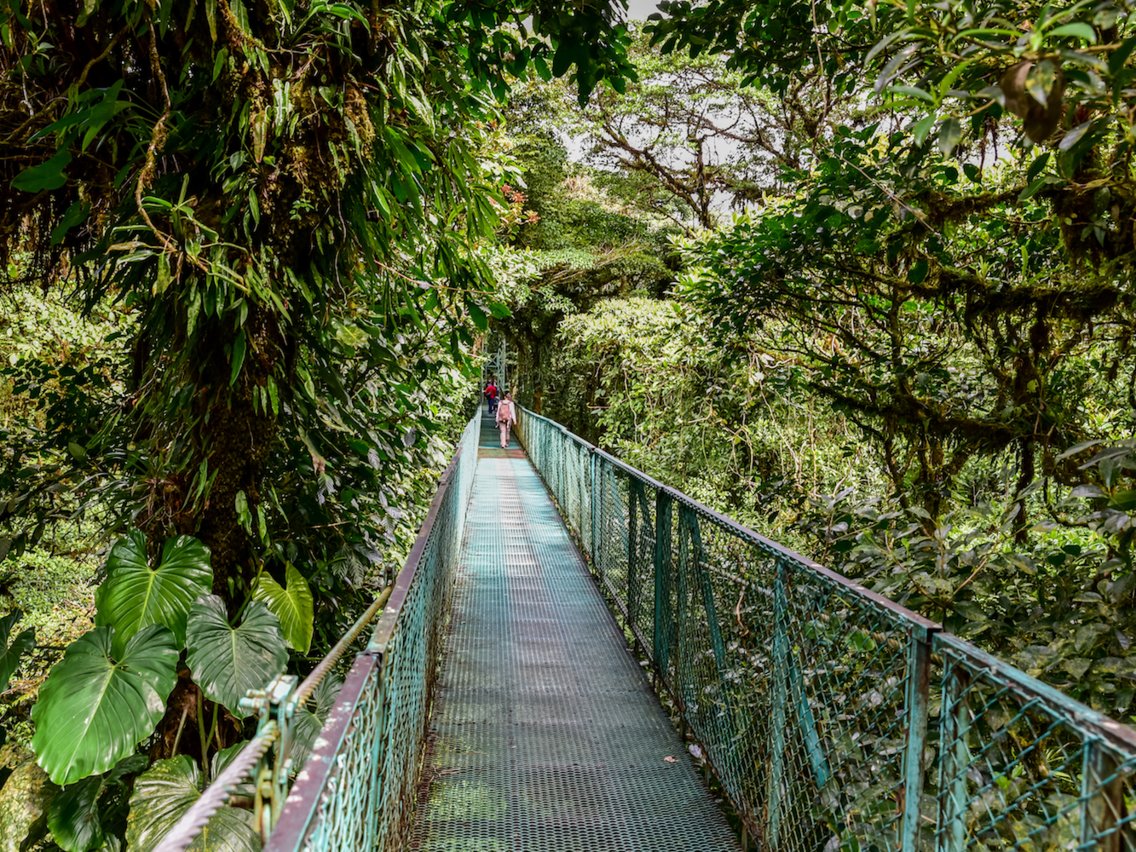 Монтеверде облачный лес, Коста Рика