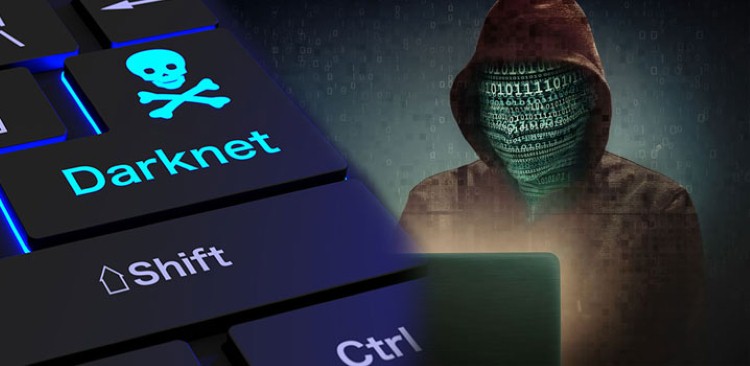 Darknet Links 2024 Drugs