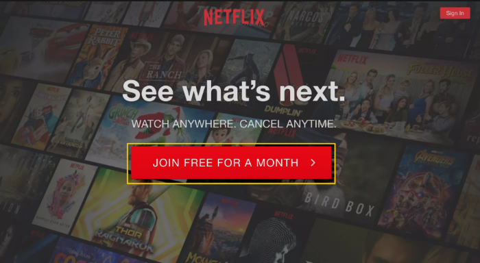 مجاني netflix فيزا شهر بدون انشاء حساب